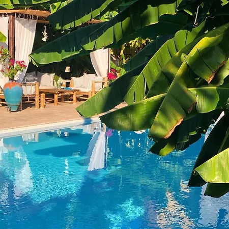 Otel Boutique 3*