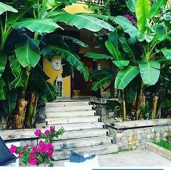 Boutique 3* Sarıgerme