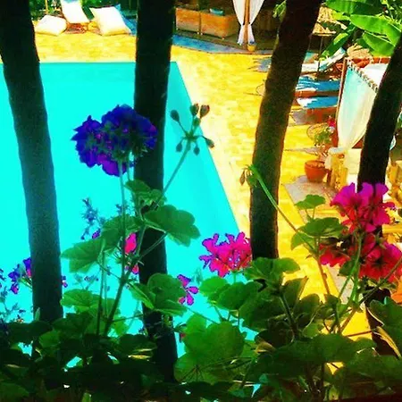 Boutique Otel